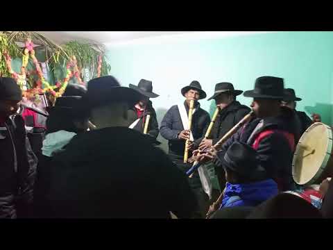 Alma pinkillada omasuyos Santiago de Huata 2025