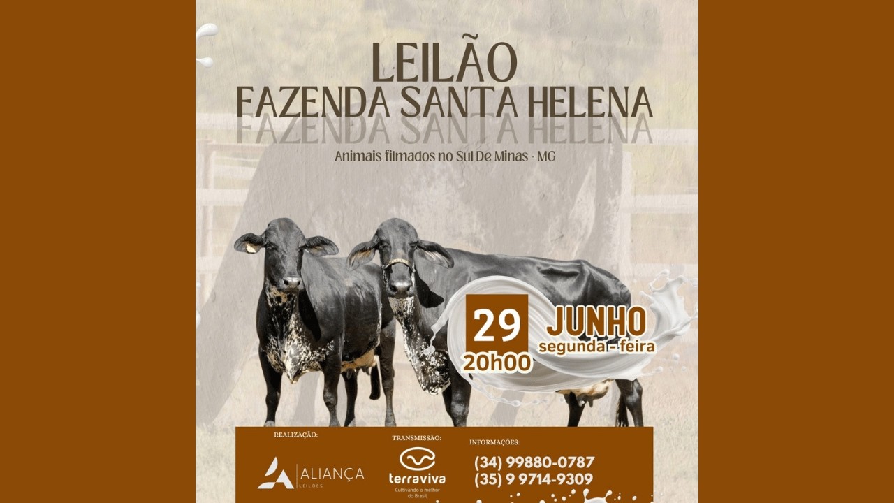 LEILÃO FAZENDA SANTA HELENA | 29/06/2026 – 20H