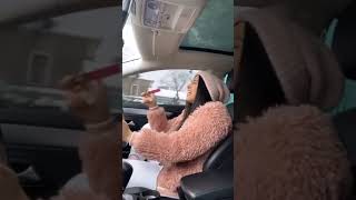 ihanet etiyin günden beri bende çok şeyler deyişdi