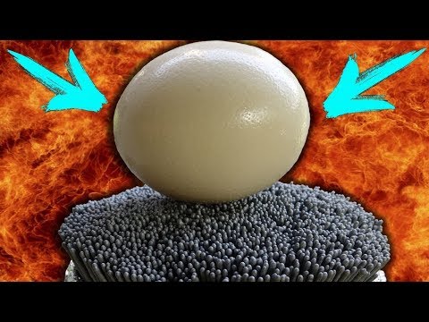 IS IT POSSIBLE TO COOK AN OSTRICH EGG WITH 10 000 SPARKLERS?!? Video