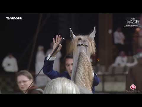 N 24 D E'NAYAH   Katara Int  Arabian Peninsula Horse Show 2023   Yearling Fillies Section B Class 1B