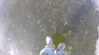 Рыбалка в московской области озеро