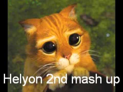 Geeno Fabulous feat  Raheema feat sean paul feat black eyed peas  Rhythm Is All That I Need Helyon 2 nd mash up