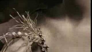 Emilie Simon | Desert MV