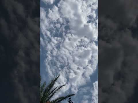 Mi corazón está dispuesto ho señor dispuesto alabarte ho mi Dios