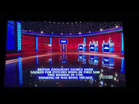 Final Jeopardy, $1.5 MILLION MARK??? - Matt Amodio DAY 38 (10/8/21)