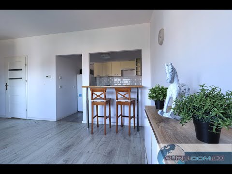 Miniatura filmu