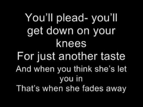 Kings of leon - molly's chambers lyrics