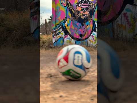 MURAL MESSI RUFINO SANTA FE autor ninioabril