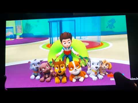 PAW Patrol: Giving my Pups a Good Scratch. (Part 2/2).