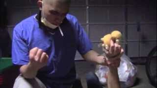 Free Throws: Silence of the Jams pt.3