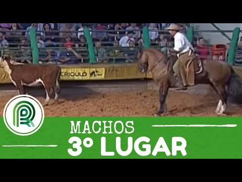 Bocal de Ouro – 3rd place males – Harmonia Ultimato