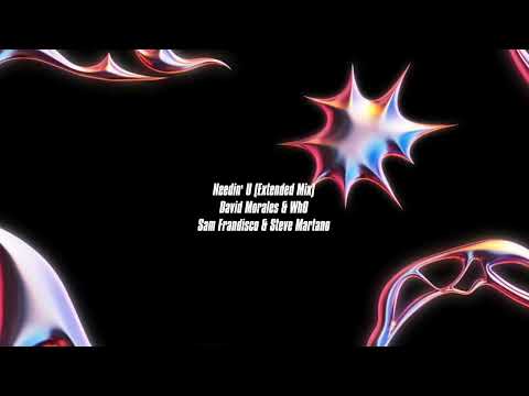 David Morales & Wh0 & Sam Frandisco & Steve Martano - Needin' U (Extended Mix)