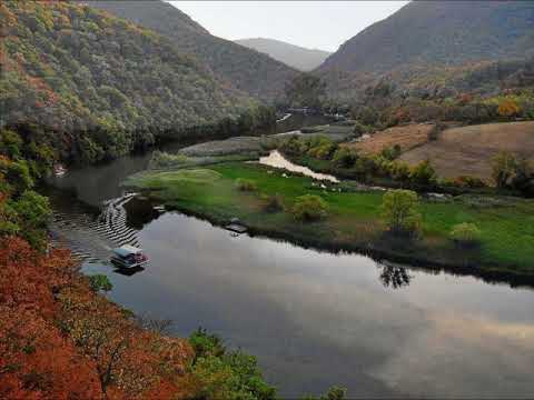 Pavle Stefanović - Ajd' idemo Rado