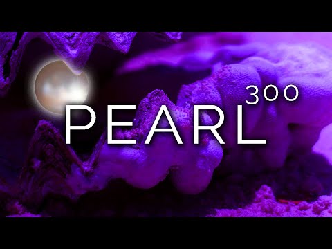 951-PL_IT Ilaria, PEARL - Hipnoza Ezoteryczna ∞ Lucio Carsi