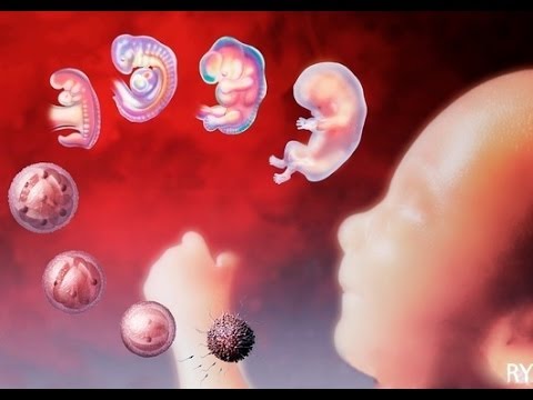 Купить Софосбувир и Даклатасвир