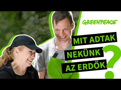 Mit adtak nekünk az erdők? – Litkai Gergely és Udvaros Dorottya új videója