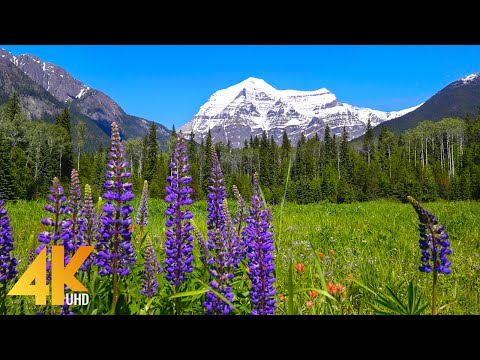 Beauty of Canadian Nature - 4K Relaxation Film - Mountains, Lakes, Forests & Waterfalls - Part #7