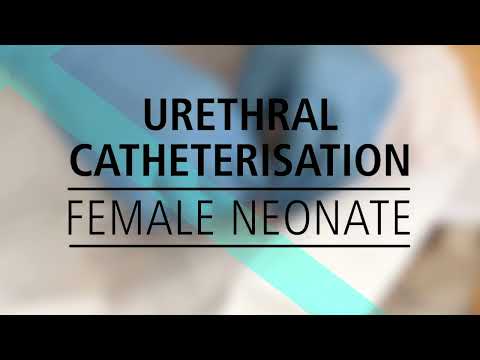 Urethral Catheterisation - Female Neonate