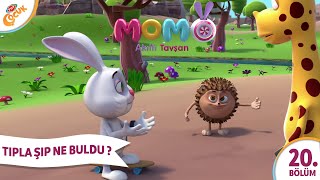 7. Bölüm - ŞIP VE TIP