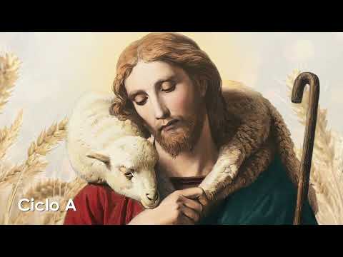 Homilía| Martes, XXI semana del Tiempo Ordinario 25.08.2026| Pbro. Daniel Gnangba FM|