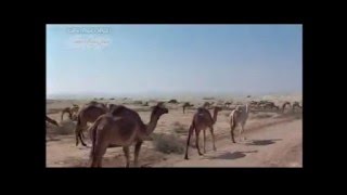 Download lagu NASYID Panggilan Haji mp3 Download lagu NASYID Panggilan Haji mp3