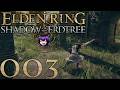 Elden Ring [Queen Run] [003] - Endlich eine Waffe!