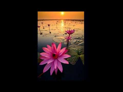 Odaimoku  (Namu Myōhō Renge Kyō)