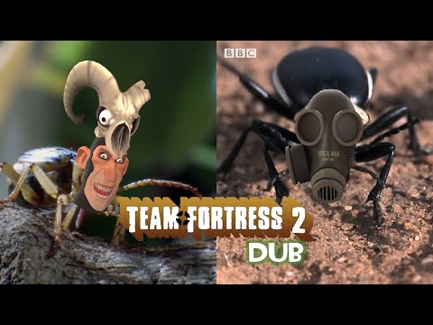 TF2 Dub: The Attack of Phlogpister and Bombardsmus #bugs
