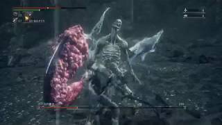 Bloodborne ゴースの遺子