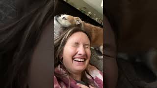 Woman Rescues A Tiny Dog During Her Work Commute | The Dodo