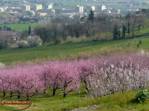 Raoul Casadei - Romagna mia (Cover)