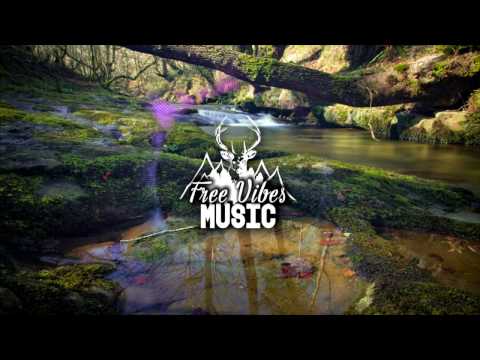 No Tv No Radio x Lege Kale - celebration