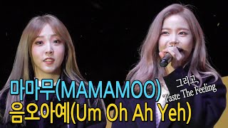 마마무(MAMAMOO),음오아예 (Um Oh Ah Yeh)/Taste The Feeling(코카콜라)@평창올림픽성화봉송대전한빛탑(171211)