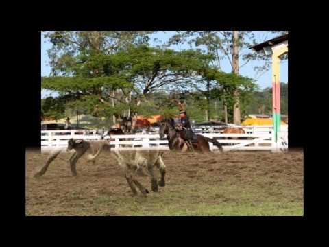 MARCAS DO TEMPO -  NILTON FERREIRA