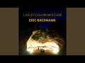 Little Bird (Live)