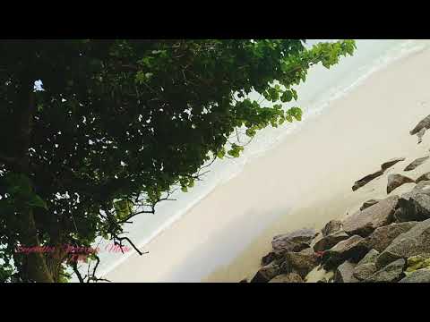 seychelles, Island, Beaches