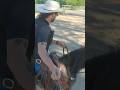 Selfie Stick And Horseback Riding Friesianhorse