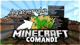 Come funziona il comando GAMERULE | Minecraft ITA Comandi