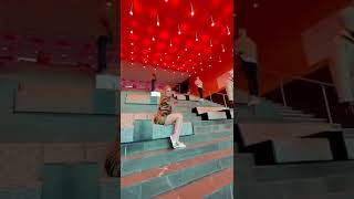 I see red ???#shorts #travel