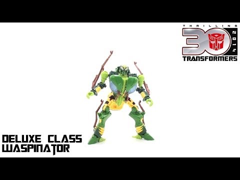 Video Review of the Transformers Generations: Waspinator