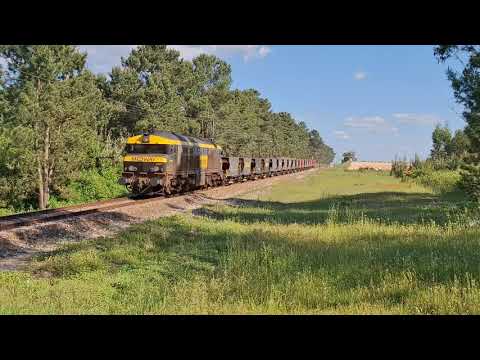 Comboio Especial n.º 96204 - Muge