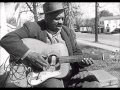 Big Joe Williams - My Baby Left Me a Mule To Ride