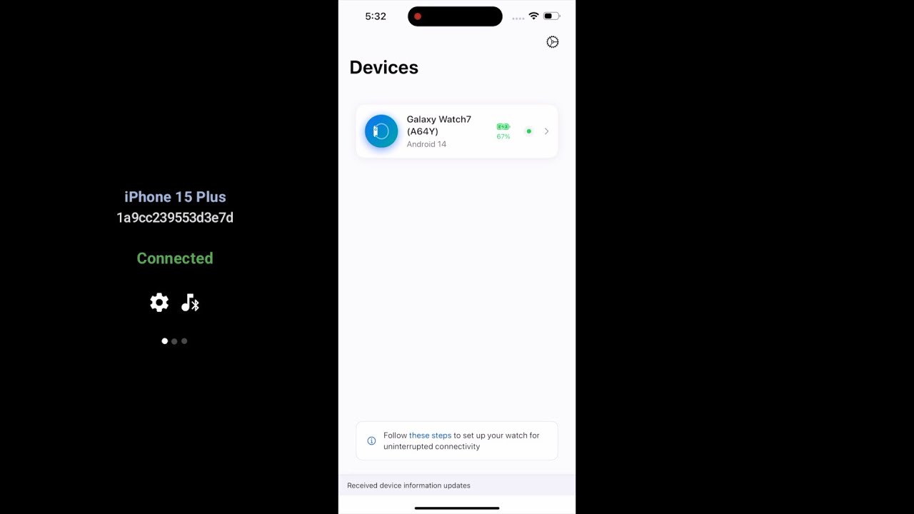 Bridge Installation and Setup