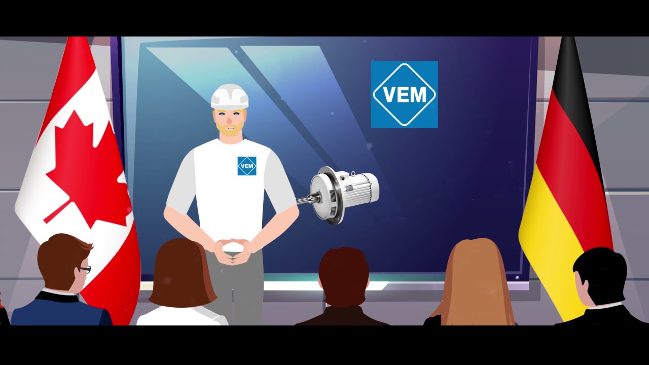 VEM Group - some Facts - English