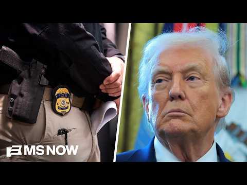 Trump’s deportation agenda catching ‘grandmas and gardeners’, not worst-of-the-worst: Dem Rep.