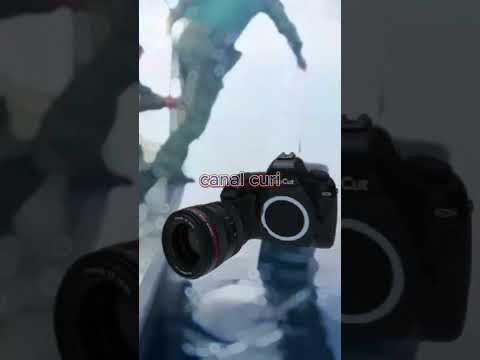 Jaguar ferido nada até o barco e pede ajuda.