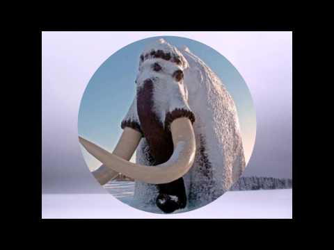 Gulag Tunes  Po tundre