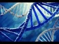 DNA Science - Human Race and Genetics Documentary