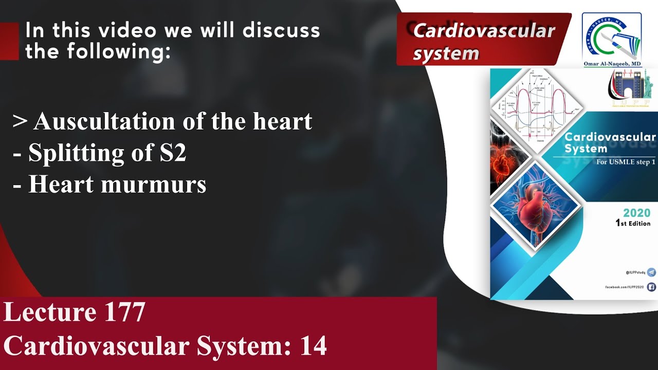Auscultation of the heart | Splitting of S2 | Heart murmurs